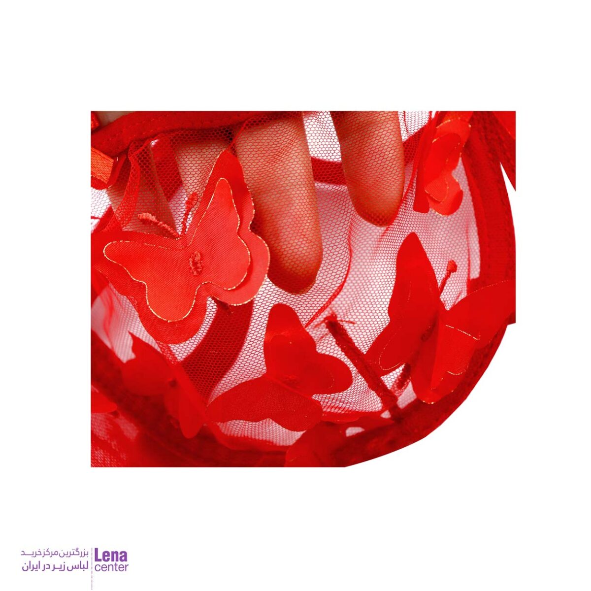 لناسنتر ست شورت و سوتین زنانه توری پروانه ای